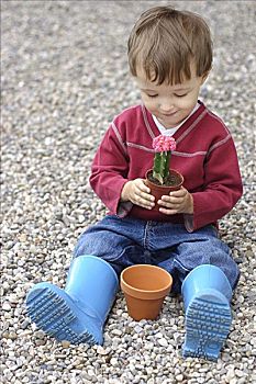 小男孩,拿着,仙人掌,植物