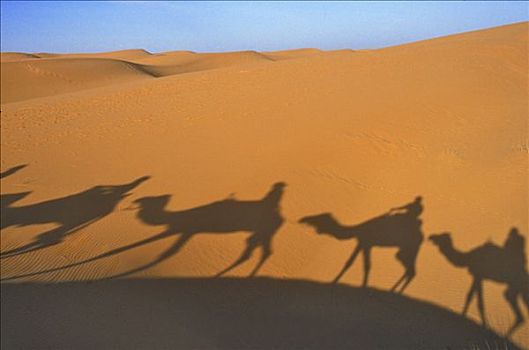 摩洛哥,梅如卡,沙丘