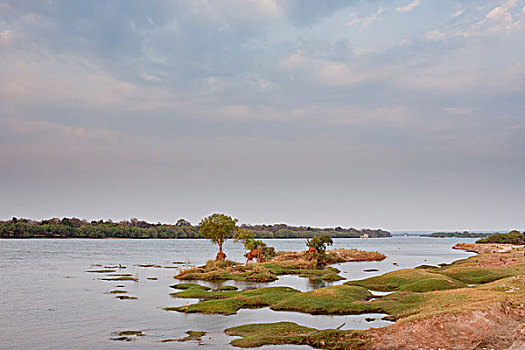 堤岸,赞比西河,维多利亚瀑布,国家公园,津巴布韦,非洲
