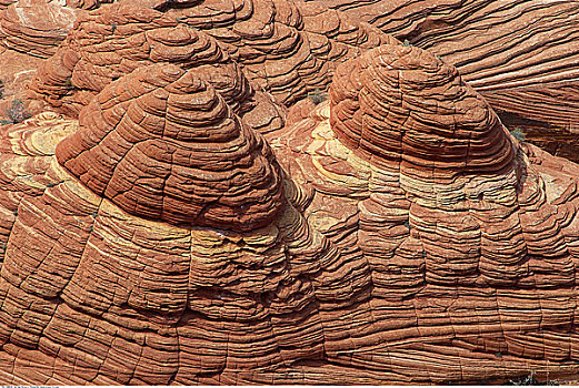侏罗纪,砂岩,科罗拉多高原,亚利桑那,美国