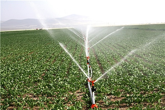 灌溉,洒水装置,水,农田,黄昏