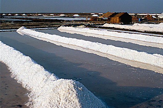 盐业生产,古吉拉特,印度,亚洲
