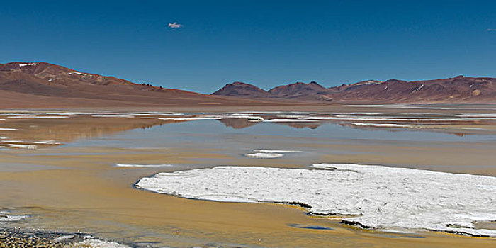 风景,盐湖,阿塔卡马沙漠,佩特罗,省,安托法加斯塔大区,智利