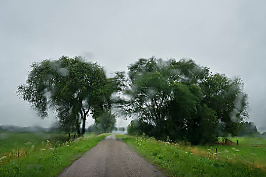 乡间小路,风档玻璃,汽车,荷兰