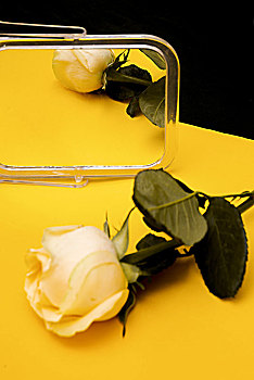 镜子和黄玫瑰在黄色背景纸上