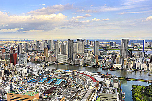 风景,筑地,鱼市,东京