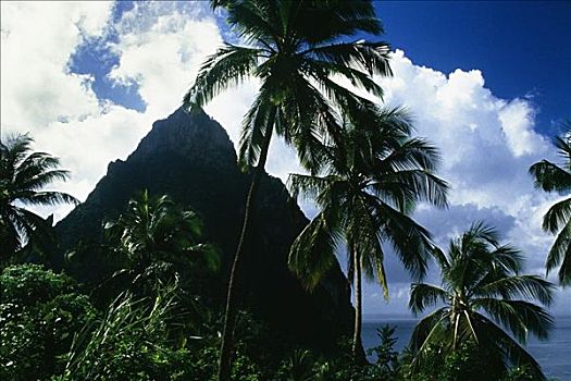 顶峰,风景,远景