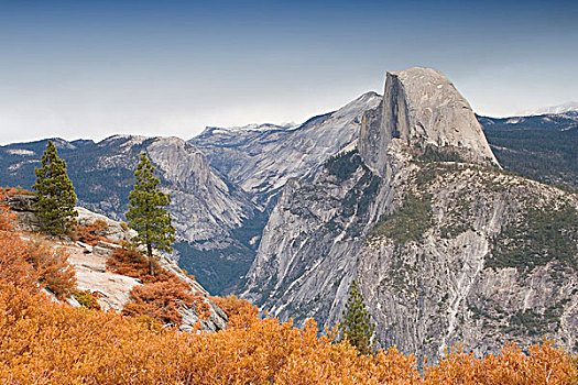 秋叶,半圆顶,优胜美地国家公园,加利福尼亚