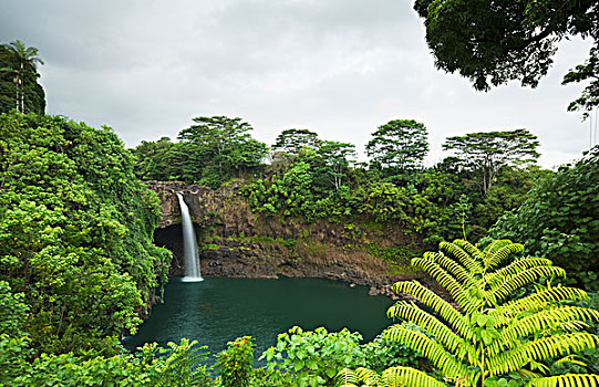彩虹瀑布,河,州立公园,希洛,夏威夷,美国