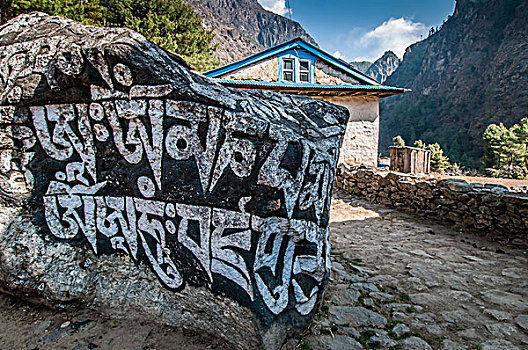 石头,茶园,小路,尼泊尔