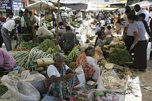 斯里兰卡,加勒,新鲜,市场,水果,蔬菜,药草,售出,农民