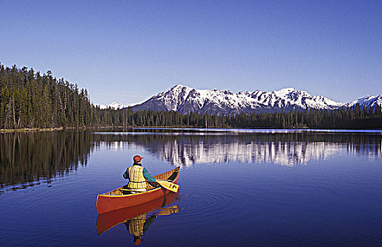 独木舟,荒野,湖,区域,不列颠哥伦比亚省,加拿大