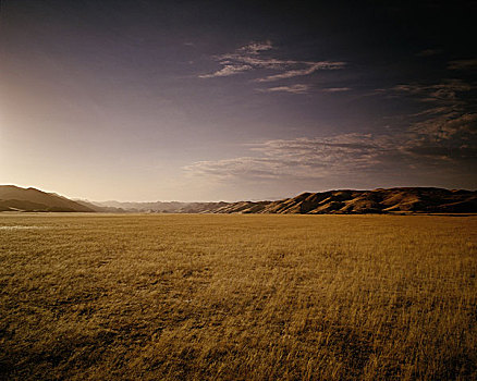 俯视,风景,日落,骷髅海岸,纳米比亚,非洲