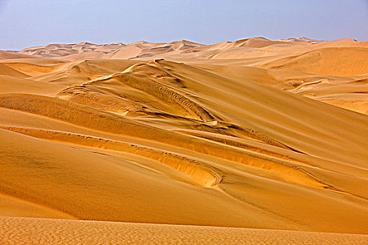 沙丘,沙滩,沙漠,荒芜,靠近,湾,纳米比亚