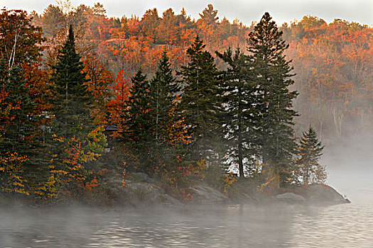 晨雾,湖,萨德伯里,安大略省,加拿大