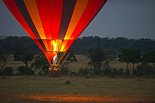 热,空气,气球,游客,上方,马萨伊,黎明,肯尼亚,非洲