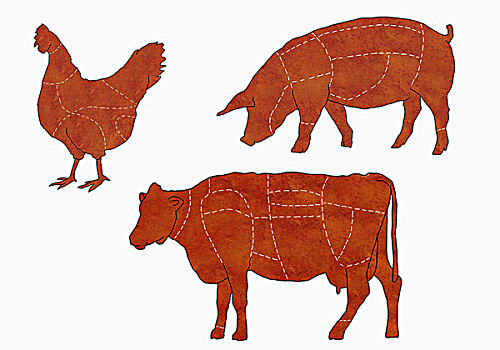图表,母牛,鸡,猪