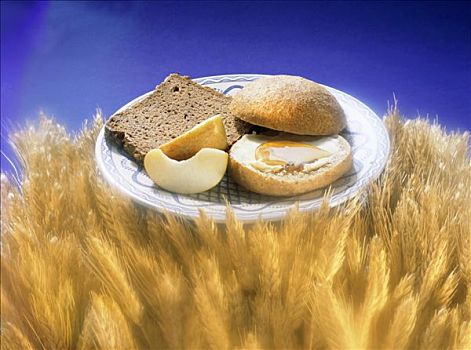 面包卷,小麦田