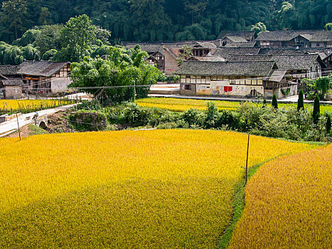 贵州黔东南苗岭深山里的苗寨