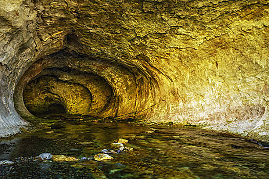 新西兰南岛洞穴溪流风景保护区