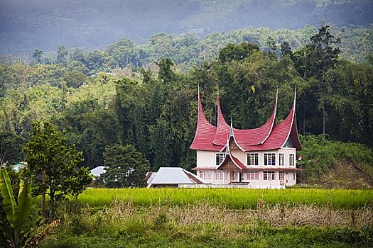 传统,房子,苏门答腊岛,印度尼西亚