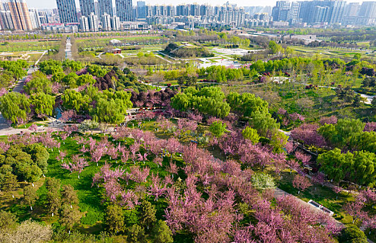 大明宫春景