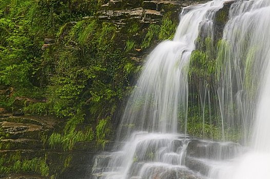瀑布,布雷肯灯塔国家公园,波厄斯郡,威尔士