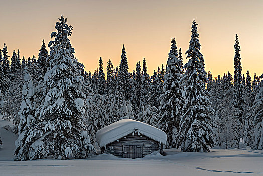 积雪,小屋,冬天,风景,早晨,气氛,国家公园,拉普兰,芬兰,欧洲