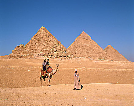 埃及,开罗,吉萨金字塔,金字塔,游客,骑,骆驼
