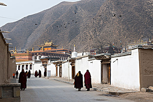 甘肃甘南地区,夏河,拉卜楞寺,藏传佛教圣地,僧人居所,徐学哲摄影,尼康,年月