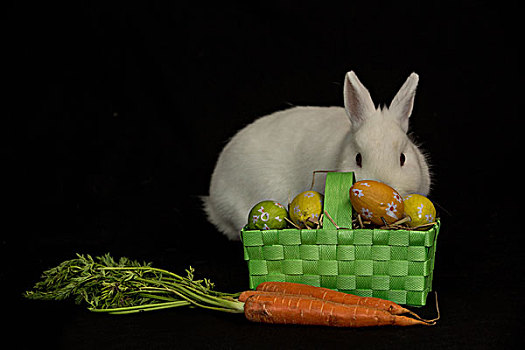 复活节兔子,篮子,蛋,胡萝卜,黑色背景,背景