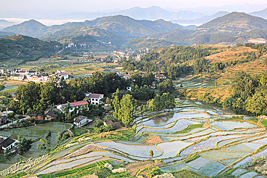 汉阴凤堰古梯田