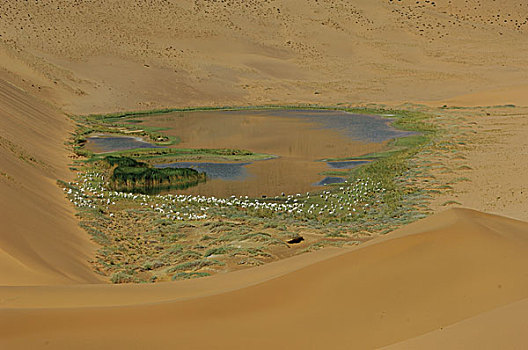 甘肃巴丹吉林沙漠中的海子