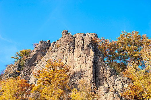 石头,秋天,山,黑森林地区,巴登巴登,巴登符腾堡,德国,欧洲