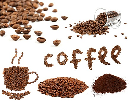 品种,咖啡豆