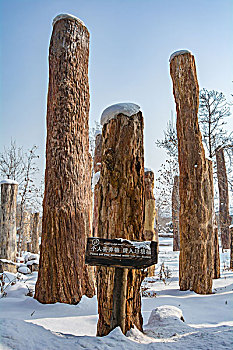 野马古生态园雪景硅化木