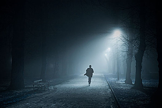 男人,跑,树,排列,道路,夜晚,雾,照亮,街道