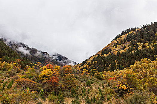 川西九寨沟