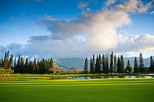 沿岸,高尔夫球场,普林斯维尔,考艾岛,夏威夷