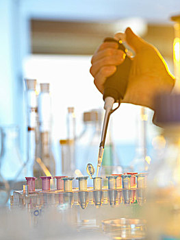 科学家,样品,小瓶,实验,实验室