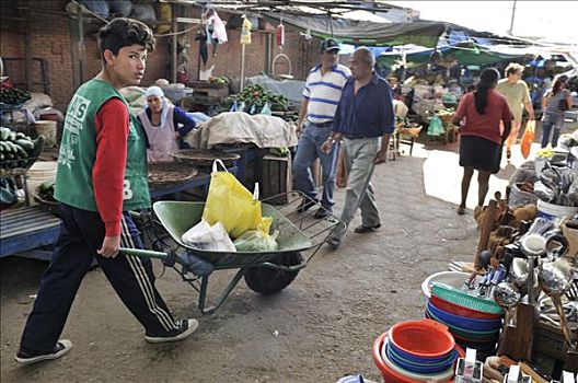 童工,男孩,运输,购买,手推车,市场,玻利维亚,南美
