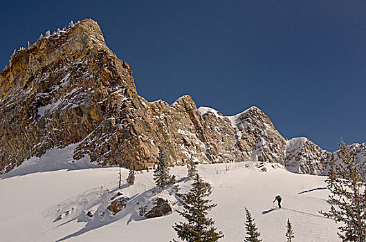 滑雪,向上,南,相似,顶峰,荒野,大,棉白杨,峡谷,国家森林,靠近,阿尔泰,盐湖城,犹他