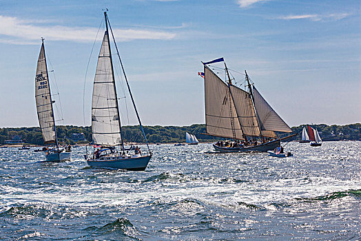 美国,新英格兰,马萨诸塞,纵帆船,节日