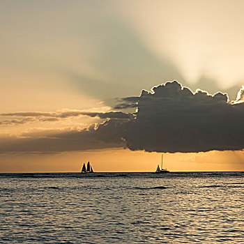 帆船,海洋,日落,怀基基海滩,檀香山,瓦胡岛,夏威夷,美国