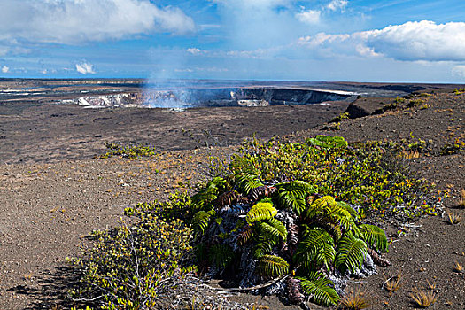 火山口,夏威夷火山国家公园,夏威夷大岛,夏威夷,美国