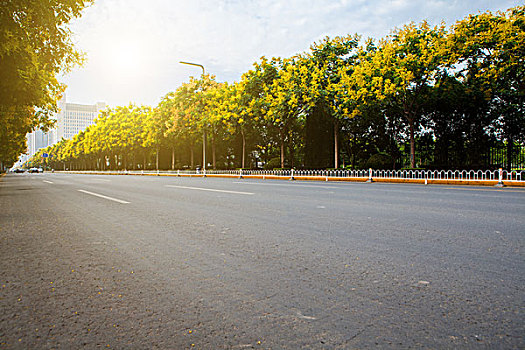 城市道路