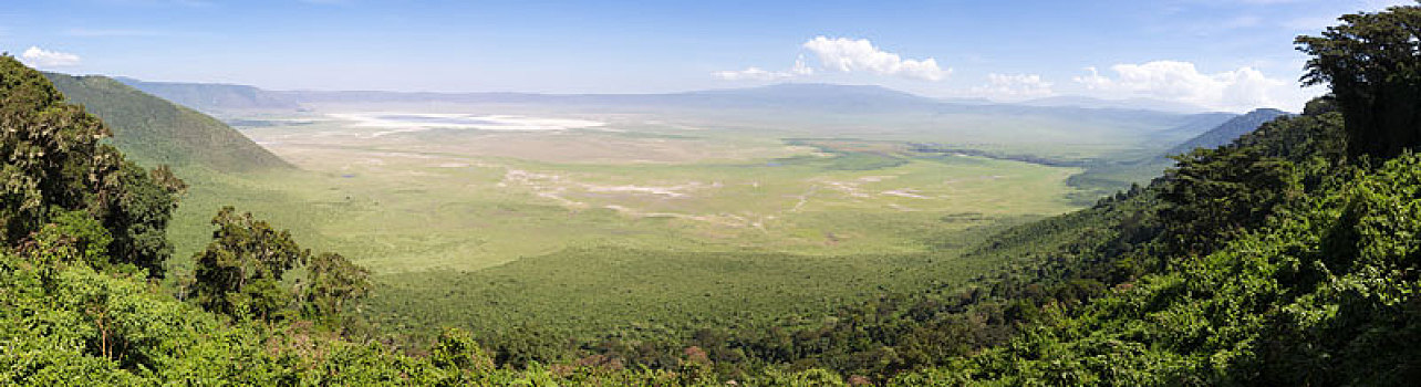 风景,火山口,恩戈罗恩戈罗,坦桑尼亚,非洲