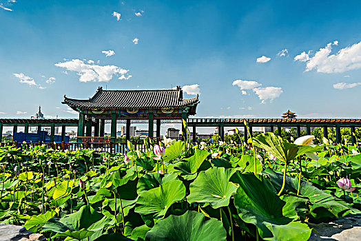 北京,丰台,莲花池公园,北京西站