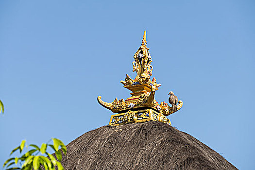 传统,巴厘岛,屋顶,顶峰,乌布,印度尼西亚