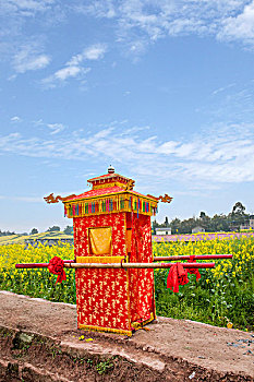 重庆永川区五间镇油菜花海里的大花轿